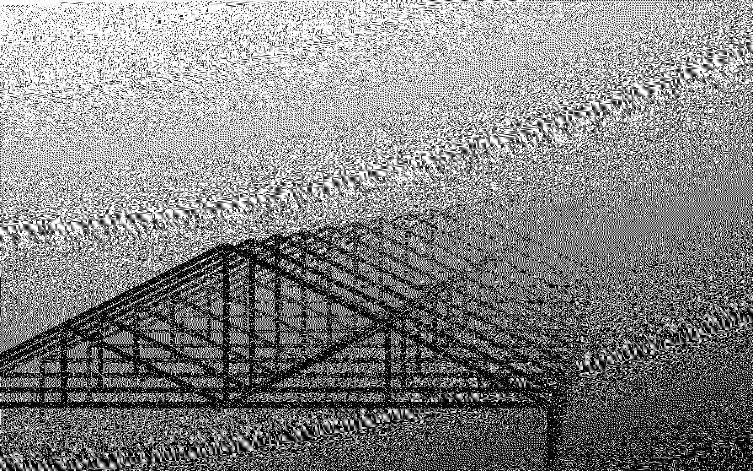 Roof trusses in perspective, rendered as high-resolution black-and-white dithered artwork.